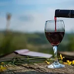 Tenuta Meraviglia - Esclusiva Con Grande Giardino, Piscina E Vista Ideale Per Gruppi E Matrimoni * 그로타졸리나