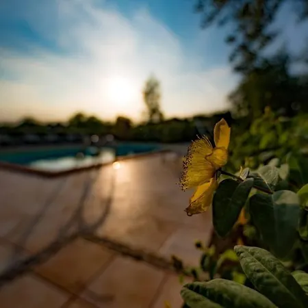 Tenuta Meraviglia - Esclusiva Con Grande Giardino, Piscina E Vista Ideale Per Gruppi E Matrimoni Willa Grottazzolina