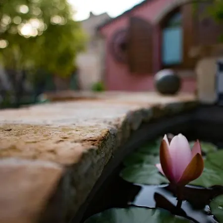 Villa Tenuta Meraviglia - Esclusiva Con Grande Giardino, Piscina E Vista Ideale Per Gruppi E Matrimoni