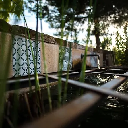 Tenuta Meraviglia - Esclusiva Con Grande Giardino, Piscina E Vista Ideale Per Gruppi E Matrimoni * Grottazzolina