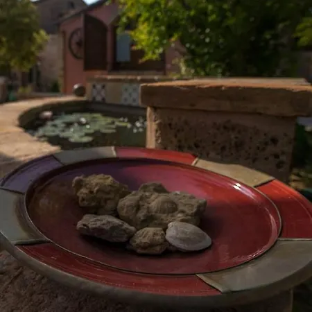 Tenuta Meraviglia - Esclusiva Con Grande Giardino, Piscina E Vista Ideale Per Gruppi E Matrimoni Willa *